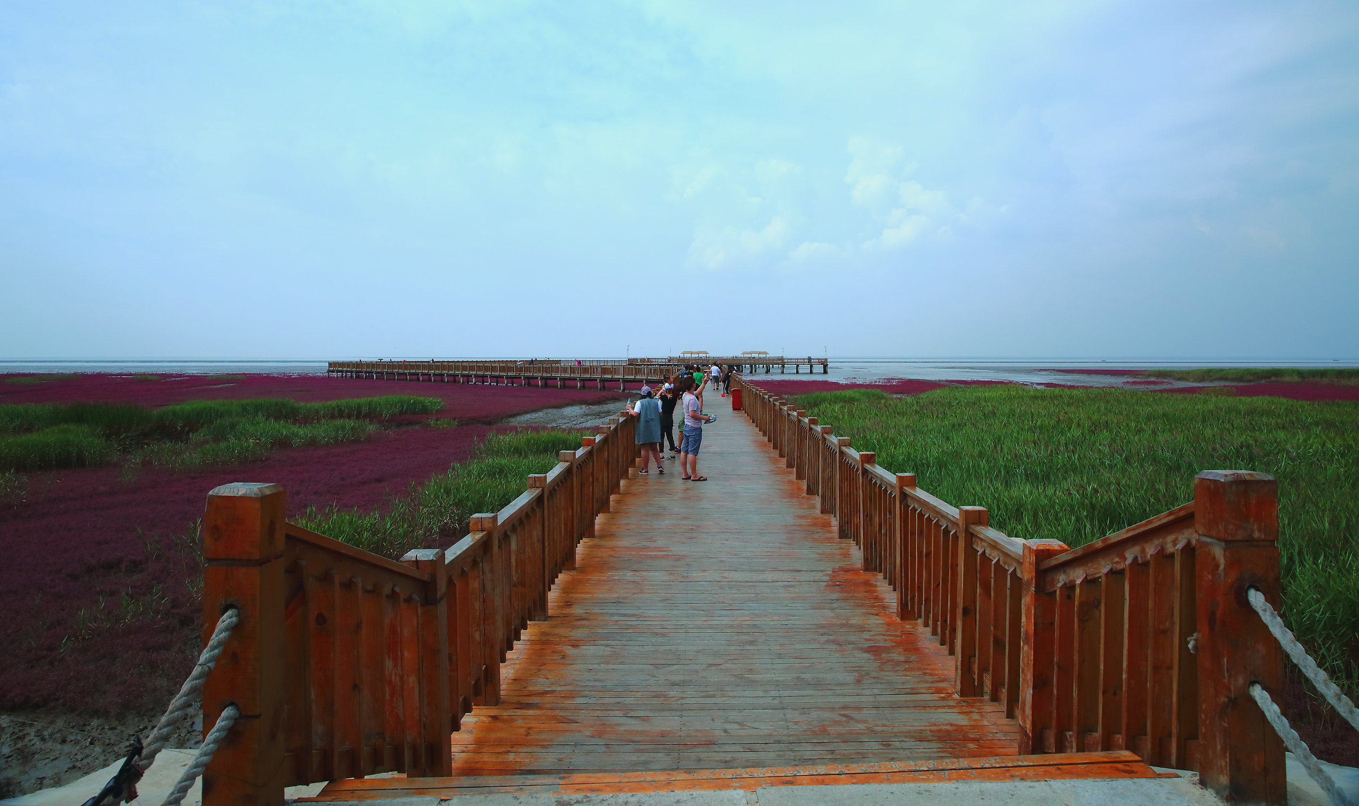 蓬溪红海景观图片