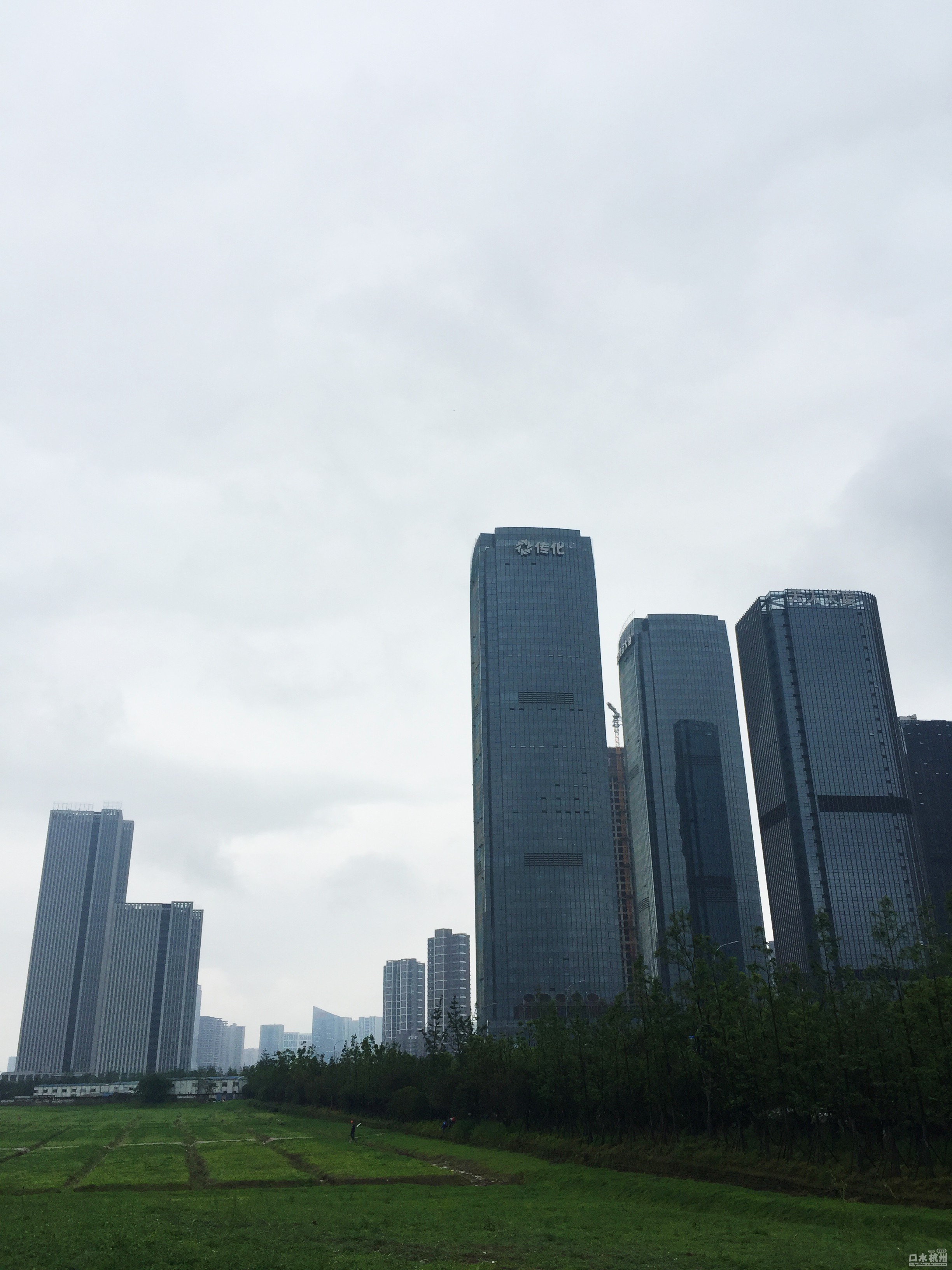 雨天,江南岸高樓直插雲霄 - 口水樓市 - 住在杭州網-口水杭州論壇